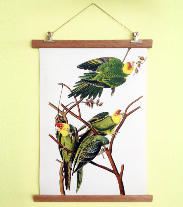 DIN A3 Poster Vögel mit Aufhängung