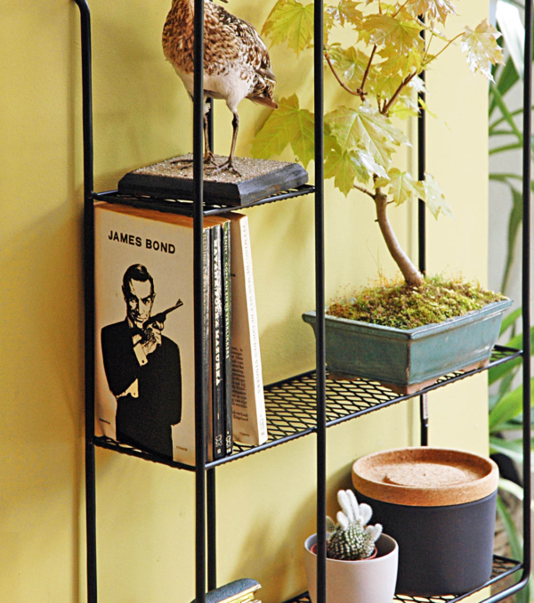 Regal Showcase schwarz – Bild 3