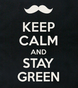 Cotton bag Keep calm and stay green - Image 2