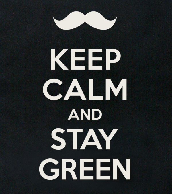 Baumwolltasche Keep calm and stay green – Bild 2
