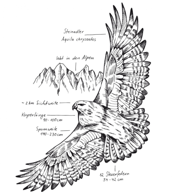 Shirt The Eagle Weiß – Bild 3