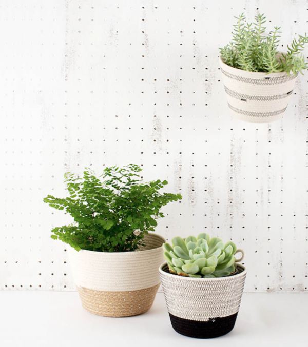Cotton plant pot - Image 2
