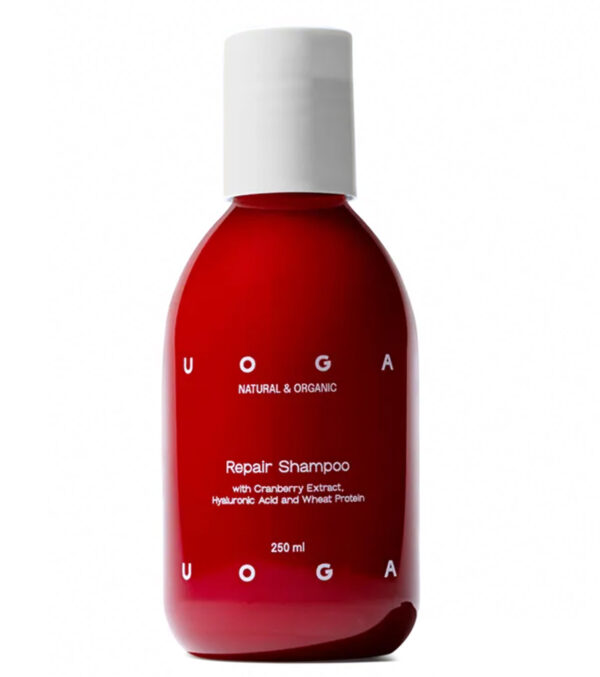 Repair shampoo for damaged hair, 250 ml