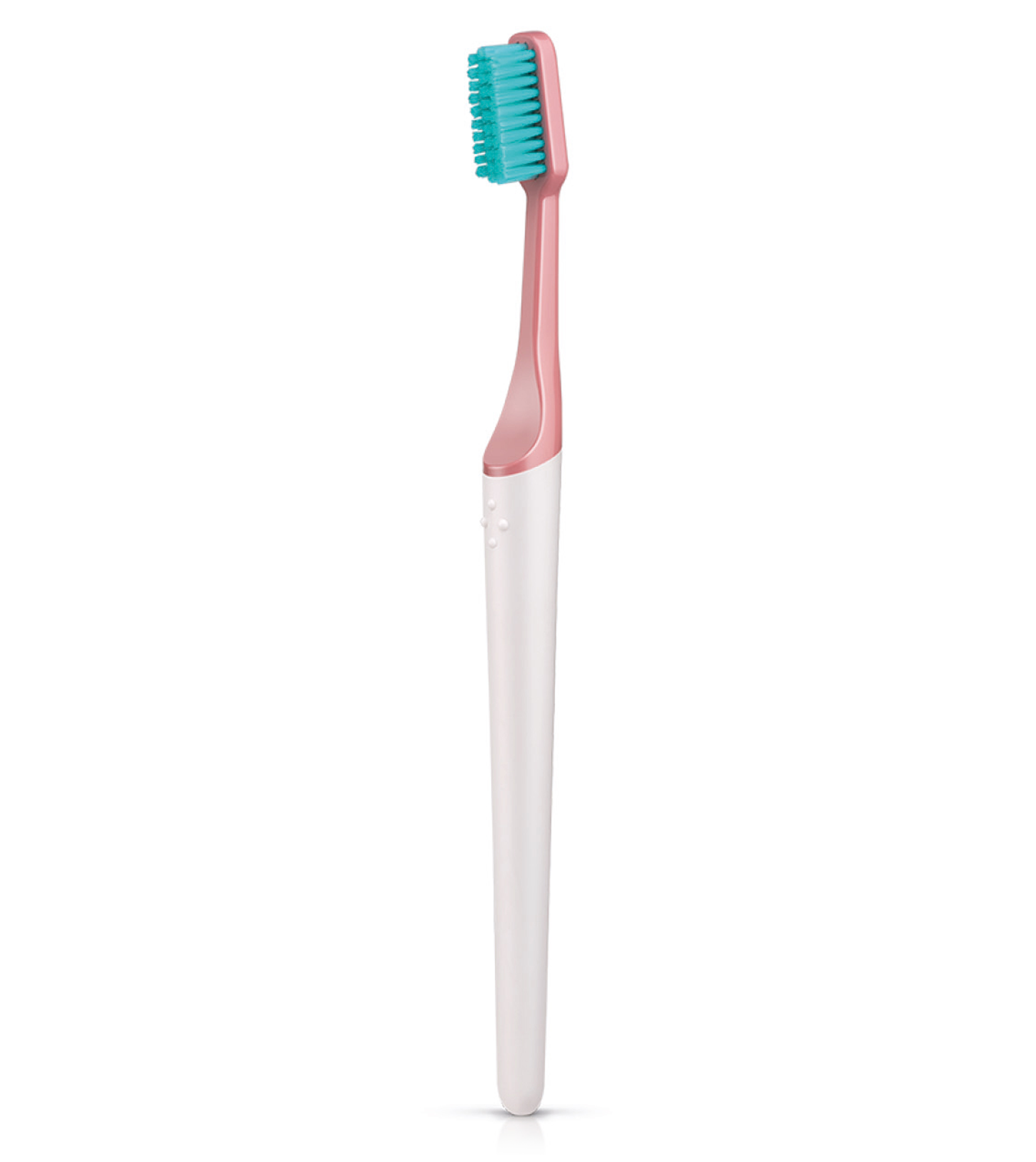reusable toothbrush