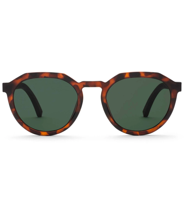 Sunglasses Leo Walnut Wood