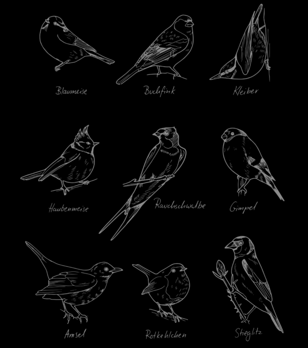 Shirt Birds – Bild 3