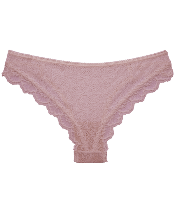 Fabienne Briefs - Image 3