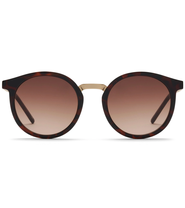 Sunglasses Leonie Havana-Brown Gradient