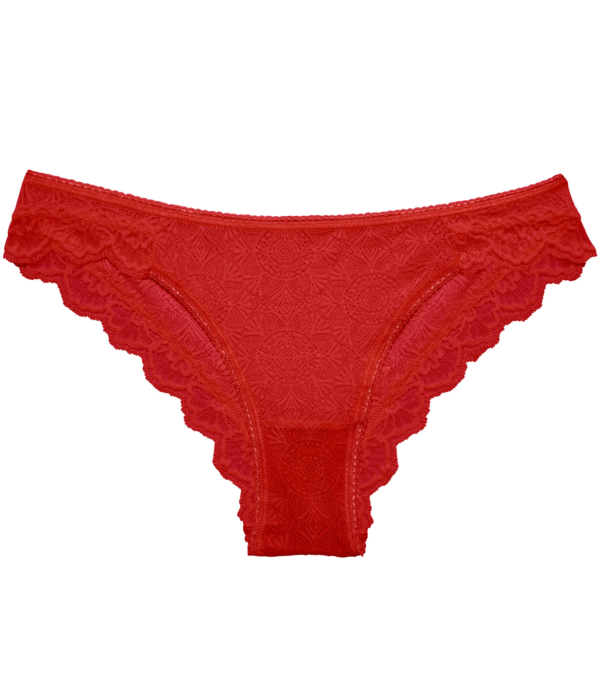 Fabienne Briefs - Image 4