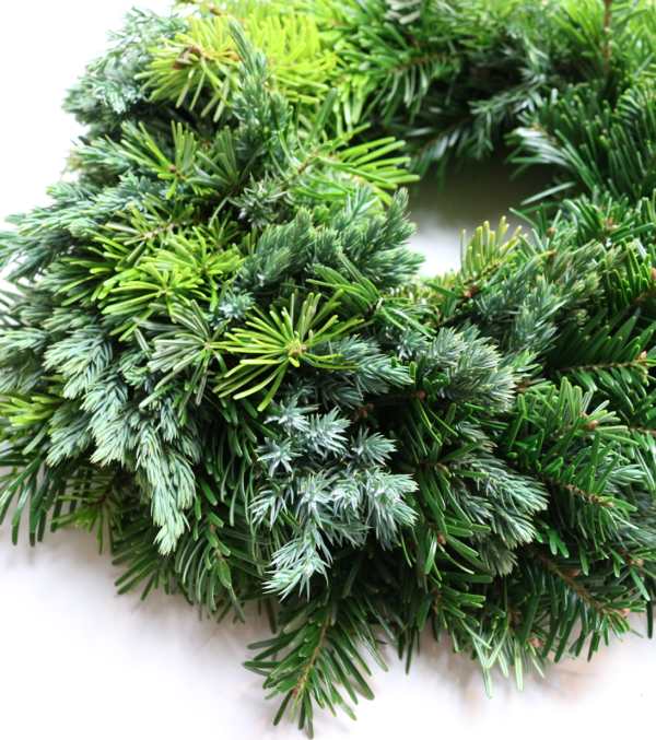Fresh Fir Wreath to design yourself - Image 4