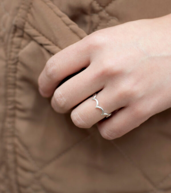 Ring Waves - Image 2