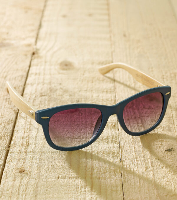 Sunglasses Ecosun