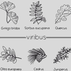 Viribus