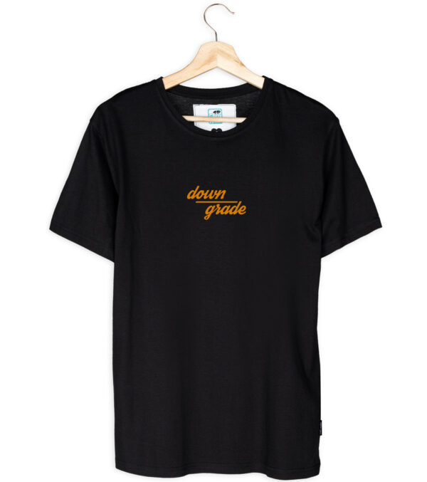 Shirt downgrade