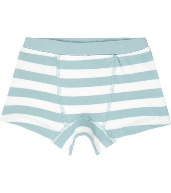 Boys Boxer Shorts Twin Pack aqua - Image 6