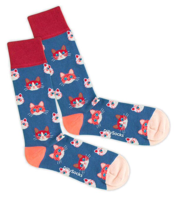 Sky Kitten Socks