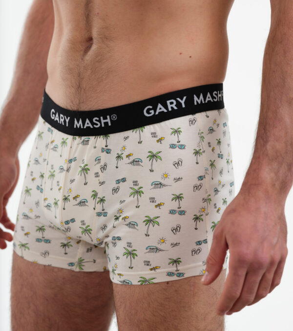 Men's Pants in a set of 2 Aloha - Image 4