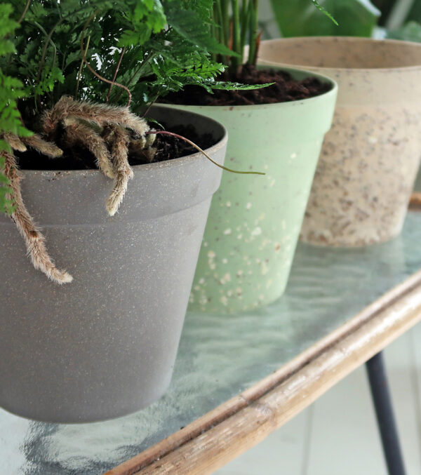 Übertopf "Jungle Fever" Ø 19 cm – Bild 3