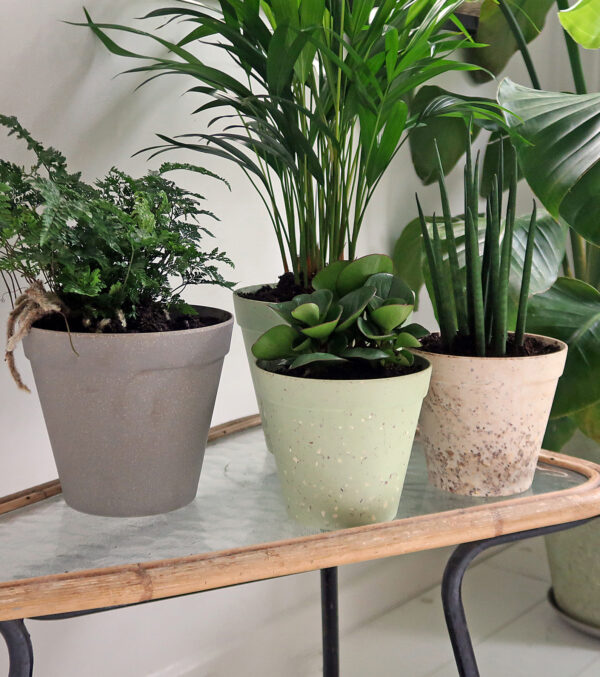 Übertopf "Jungle Fever" Ø 19 cm – Bild 5