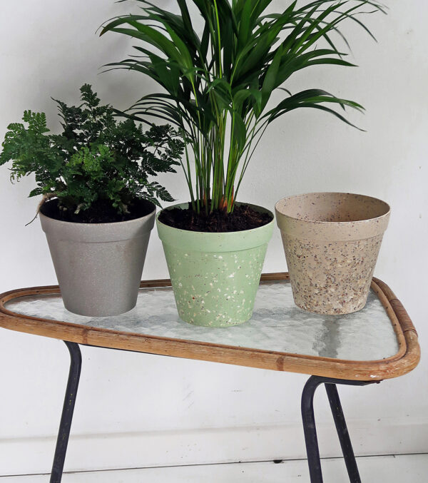 Übertopf "Jungle Fever" Ø 19 cm – Bild 6