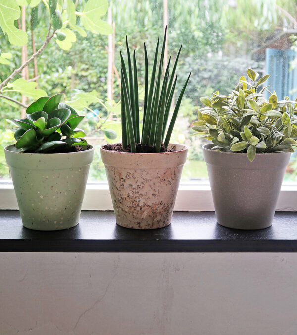 Übertopf "Jungle Fever" Ø 15 cm