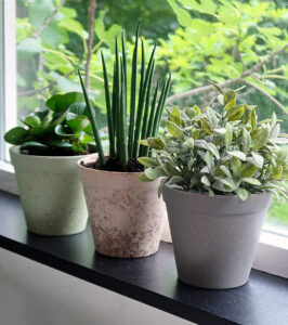 Plant pot "Jungle Fever" Ø 15 cm - Image 3