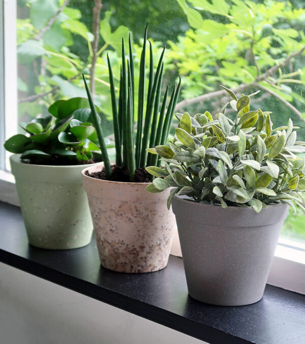 Übertopf "Jungle Fever" Ø 15 cm – Bild 3