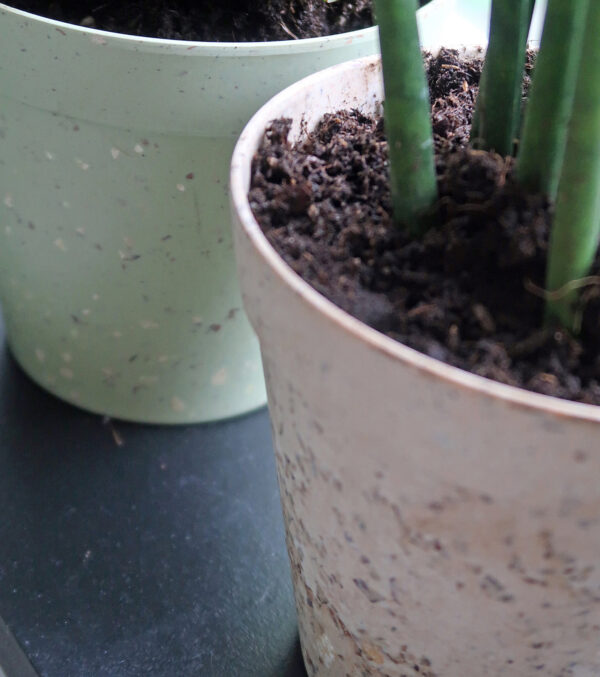Übertopf "Jungle Fever" Ø 15 cm – Bild 6