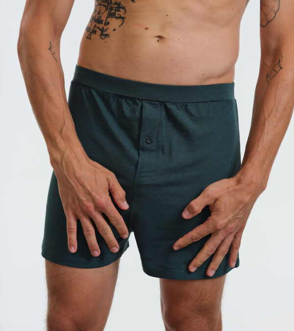 Men's Boxer Shorts in a set of 2 - Image 6
