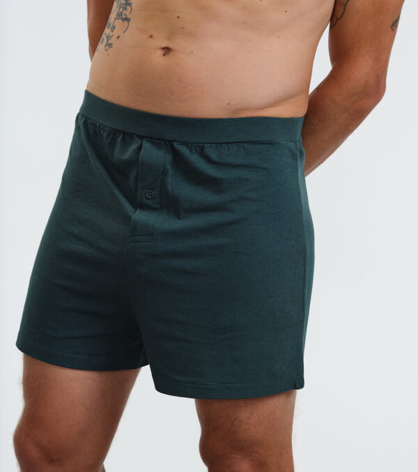 Men's Boxer Shorts in a set of 2 - Image 7