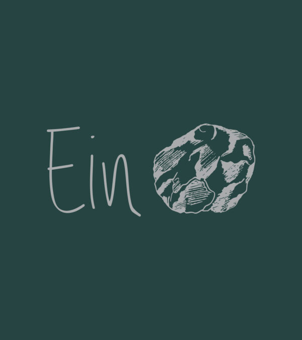 Shirt Einstein - Image 4