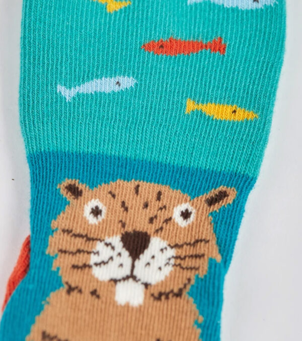 Fun toddler socks in a 2-pack, beaver & frog - Image 3