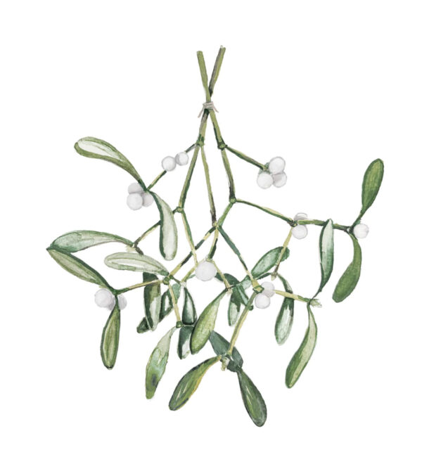 Greeting Card A6, Mistletoe - Image 2