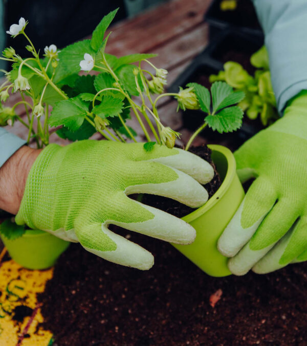 Garden gloves made of natural rubber - Image 2
