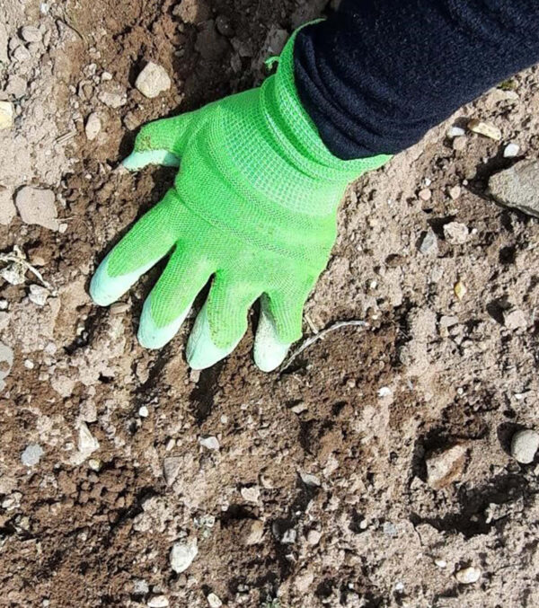 Garden gloves made of natural rubber - Image 3