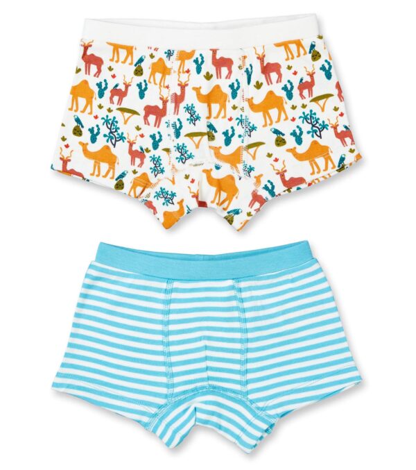 Boys Boxer Shorts Twin Pack, Desert
