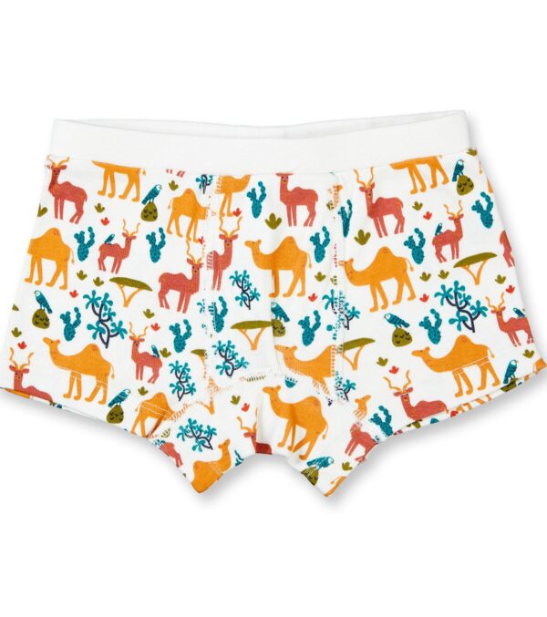 Boys Boxer Shorts Twin Pack, Desert - Image 2