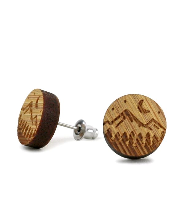 Wooden ear studs Night sky
