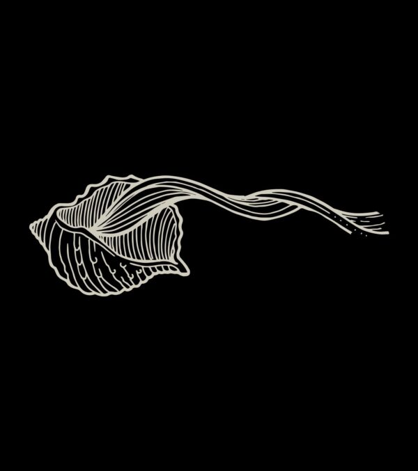 Shirt Shell - Image 7