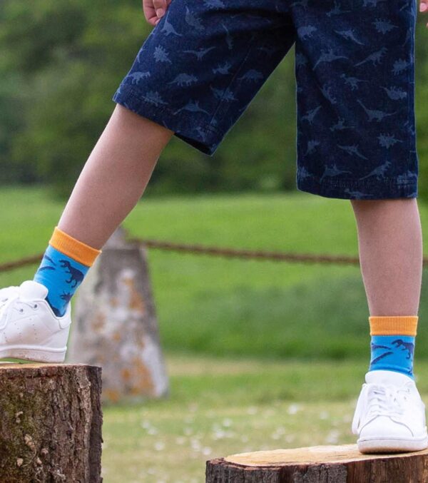 Colorful Socks 3-Pack, Dino - Image 5