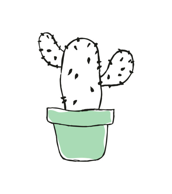 Shirt Asheville Mini cactus white - Image 3