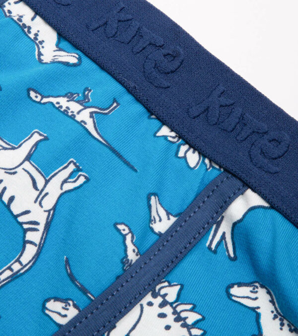 Jungen Boxershorts 3er-Pack, Dinos – Bild 2