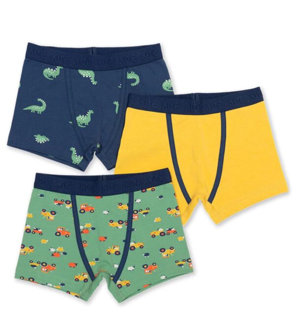 Boys Boxer Shorts 3 Pack, Spot the Dino
