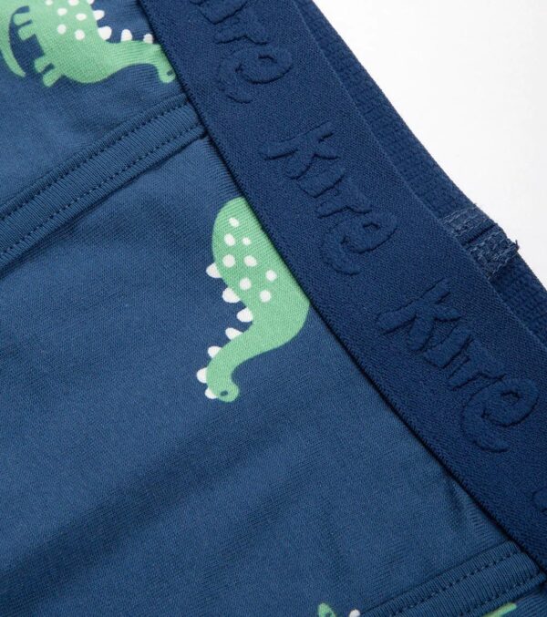 Boys Boxer Shorts 3 Pack, Spot the Dino - Image 2