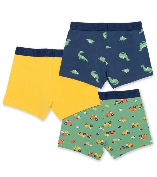 Boys Boxer Shorts 3 Pack, Spot the Dino - Image 3
