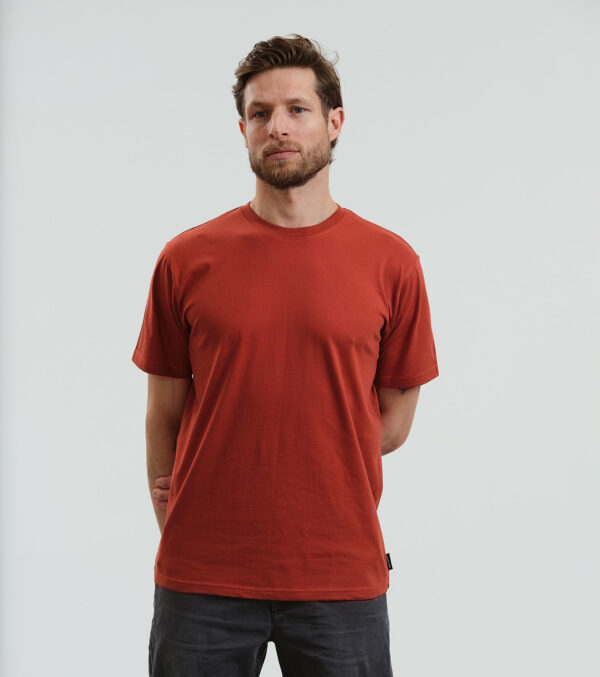 Basic Shirt rusty red - Image 2