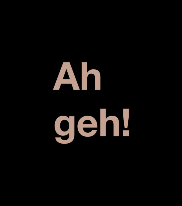 Shirt Asheville Ah geh! - Image 3