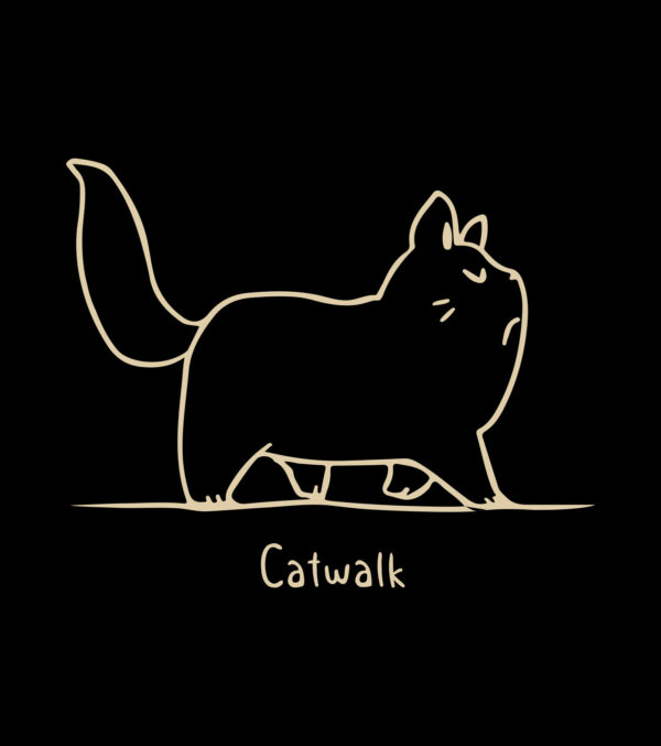 Shirt Asheville Catwalk - Image 12