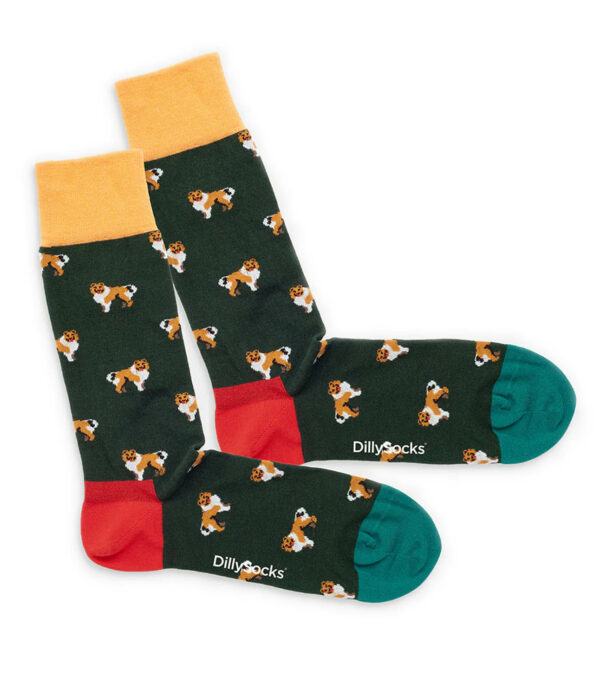 Who Let The Dogs Out Socks