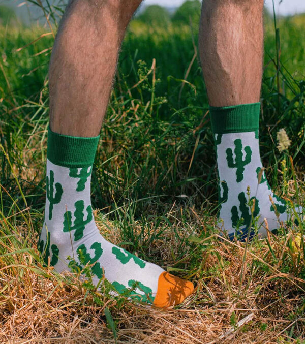 Desert Plants Socks - Image 3